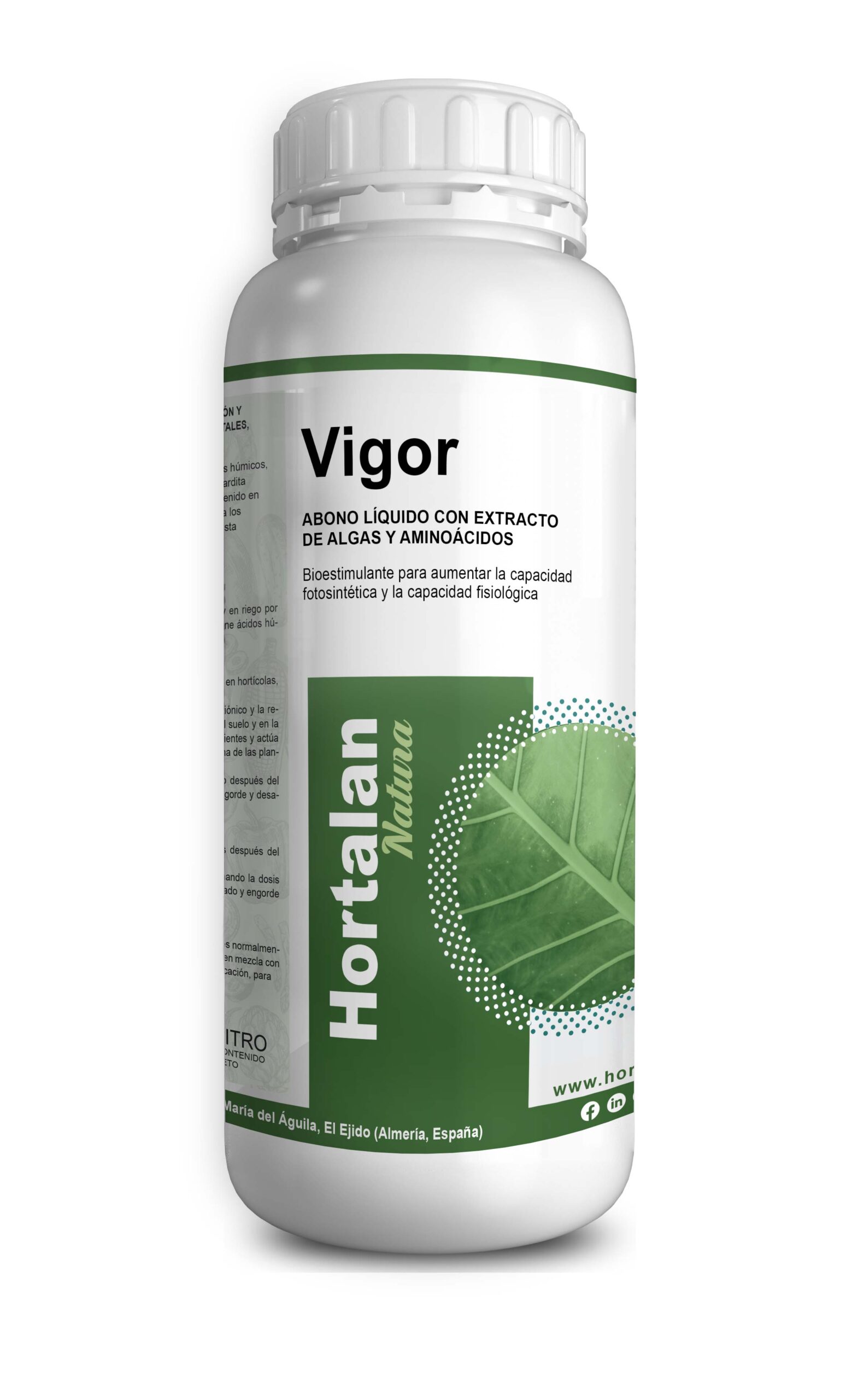 VIGOR