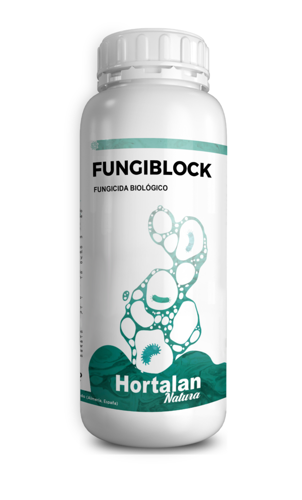 FUNGIBLOCK